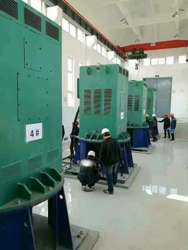 宁南某污水处理厂使用我厂的立式高压电机安装现场